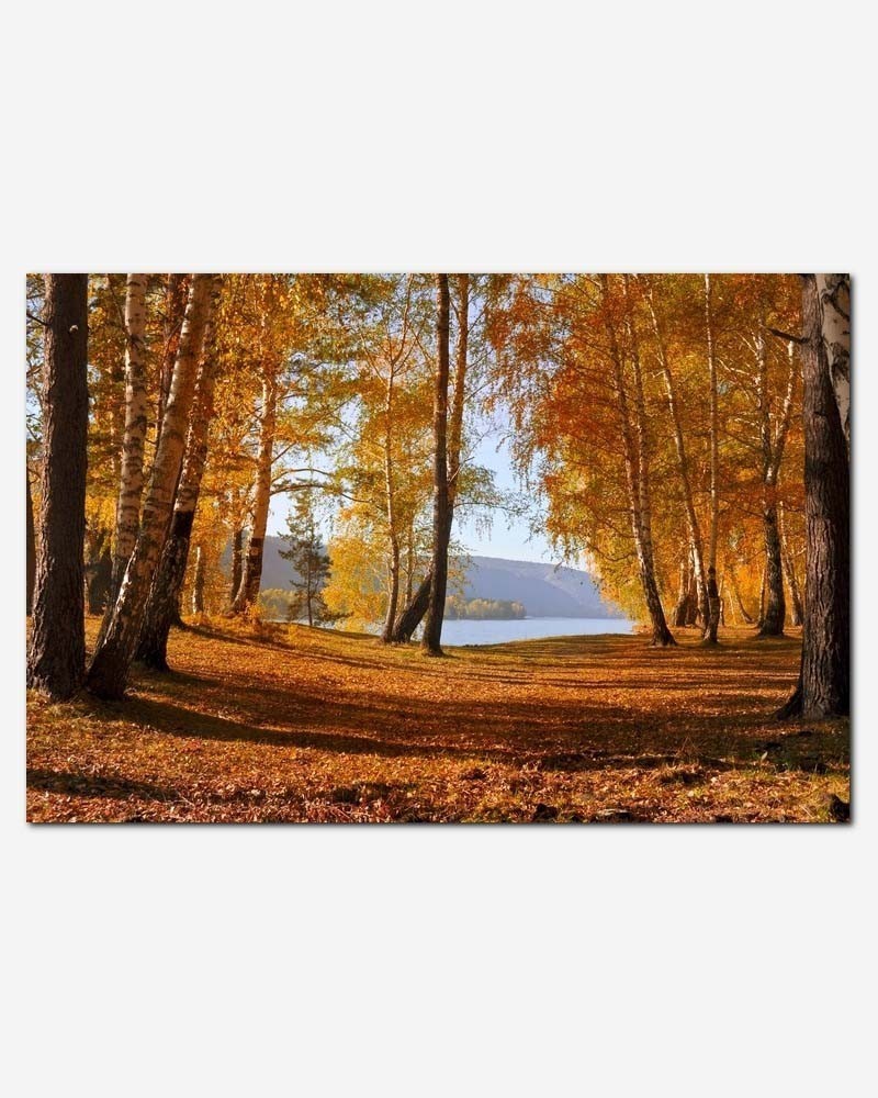 Floresta de outono - Larisa Koshkina