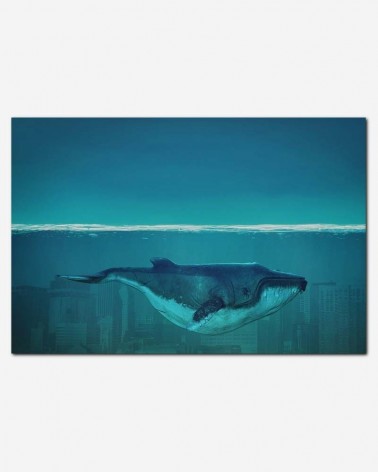 Baleia Azul - Derfoto
