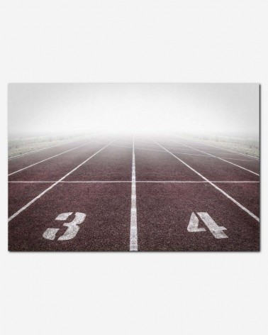 Track Surface
