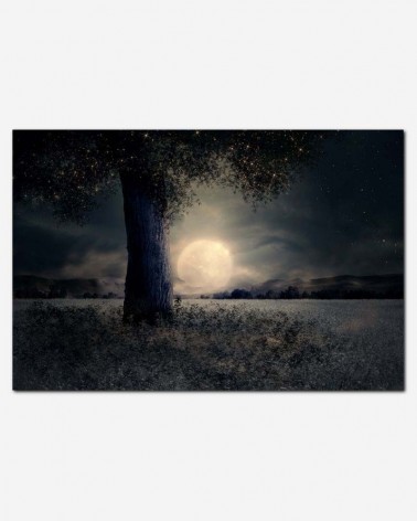 Paisagem noturna - Luar - Larisa Koshkina