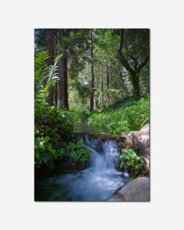 Cachoeira na floresta - Ken Kistler