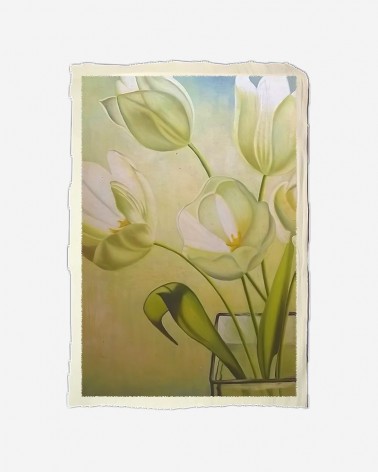 Tulipas brancas