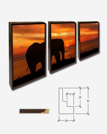 Trio Elefante no pôr do sol - Karen Arnold