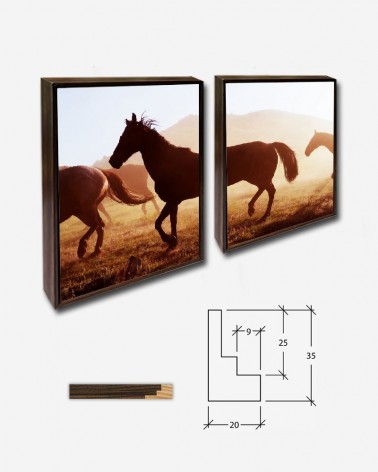 Duo Cavalos a galope - Carol Highsmith