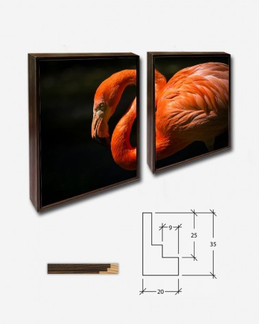 Duo Flamingo em destaque - Thomas Griesbeck