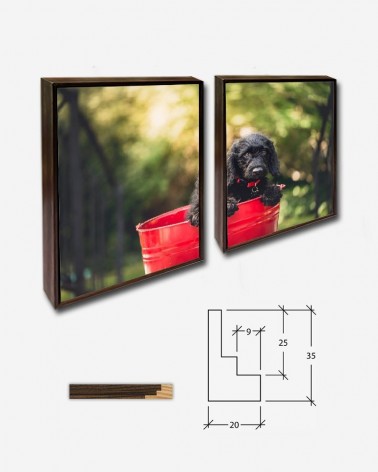 Duo Parque de cachorros - Andrew Branch