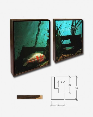 Duo Peixe ornamental - Brenda Helen