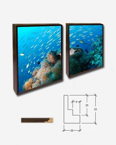 Duo Oceano azul