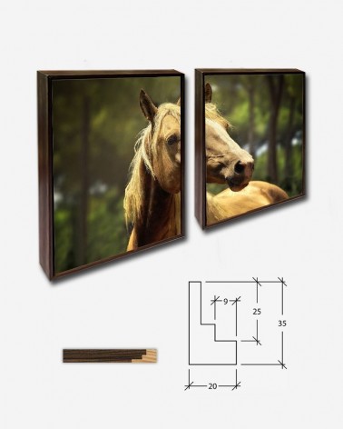 Duo Cavalo expressivo