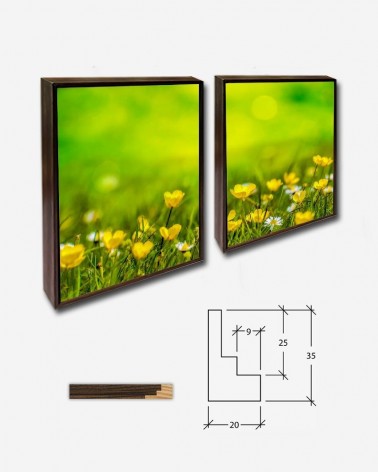 Duo Flores silvestres - George Hodan