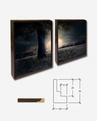 Duo Paisagem noturna - Luar - Larisa Koshkina